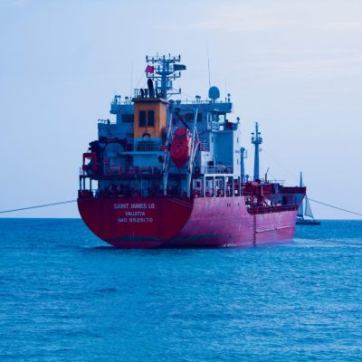 pexels-totallyoutofframe-31769441